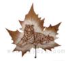 Схема вышивки &laquo;Кленовый лист)))&raquo;
