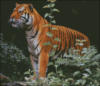 Схема вышивки «Тигр в лесу»