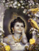 Схема вышивки «Krishna»
