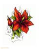 Схема вышивки «Красный  цветок»