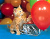 Котенок с воздушными шариками: оригинал