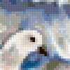 Белые голуби: предпросмотр