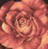 Схема вышивки «Подушка Роза»