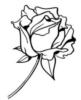Схема вышивки «Роза монохром»
