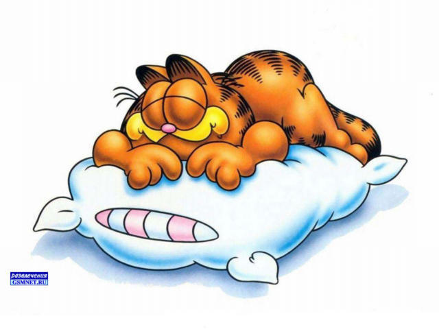 Гарфилд, кот, подушка, гарфилд, мультик