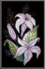 Схема вышивки &laquo;Лилии3&raquo;