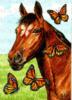 Схема вышивки «Конь с бабочками»