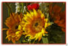 Схема вышивки &laquo;Подсолнухи&raquo;