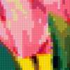 Тюльпаны на подушку: предпросмотр