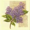 Схема вышивки &laquo;Цветы&raquo;