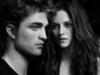 Схема вышивки «Edward and bella»