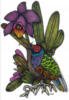 Схема вышивки «Птичка и орхидея»