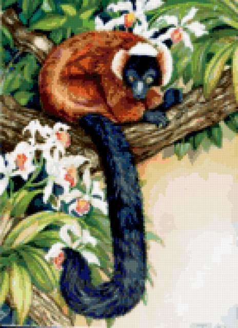 Lemur, wildlife, animals, животные