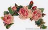 Схема вышивки «Roses»