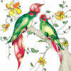 Схема вышивки &laquo;Птицы&raquo;