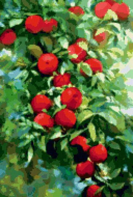 Variant 1, фрукты