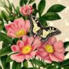Схема вышивки &laquo;Babochka i cvety&raquo;