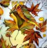 Схема вышивки «Осенние листики клёна»