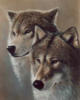 Схема вышивки «Волк и волчица 3»