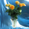 Схема вышивки «Желтые розы на голубом фоне»