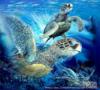 Морские  черепахи: оригинал