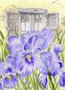Схема вышивки &laquo;Irisy&raquo;