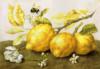 Схема вышивки «Натюрморт лимоны»
