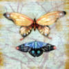 Схема вышивки «Подушка Бабочки 2»