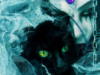 Схема вышивки «Черная кошка и ведьма»