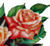 Схема вышивки «Подушка Роза »