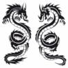 Схема вышивки «Пара драконов»