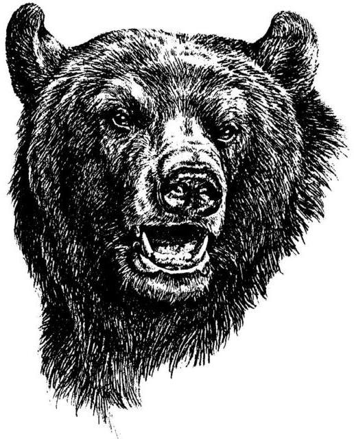 Схемы вышивки «медведь» (стр. 1) - Вышивка крестом