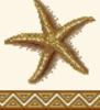 Схема вышивки «Орнамент-морская звезда»
