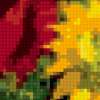 Poppies&sunflowers: предпросмотр