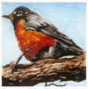 Схема вышивки &laquo;Bird&raquo;