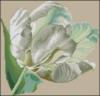Схема вышивки &laquo;Tulip&raquo;