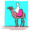 Схема вышивки «Верблюд»