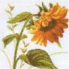 Схема вышивки &laquo;Подсолнух&raquo;