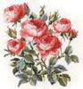 Схема вышивки &laquo;Розы&raquo;