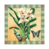 Схема вышивки «Бабочки и орхидеи»
