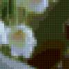 C белыми тюльпанами: предпросмотр