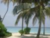 Мальдивские острова: оригинал