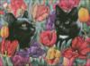 Черные кошки: оригинал