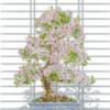 Схема вышивки &laquo;Vostochnoe derevo&raquo;