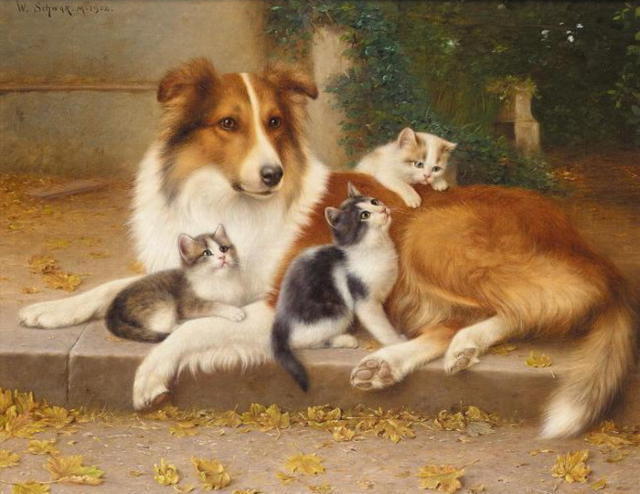 Собака с котятами, животные