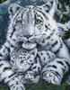 Схема вышивки «Белые тигры»