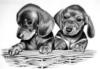 Схема вышивки «Собаки карандашом»