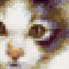 Котики от Jane Maday: предпросмотр