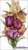 Схема вышивки &laquo;Tulips&raquo;
