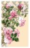 Схема вышивки &laquo;Roses&raquo;